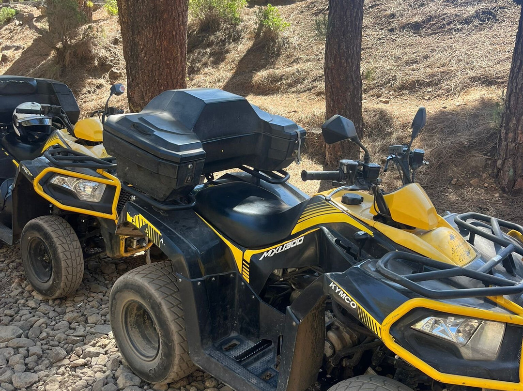 Quad Safari-阿罗纳必去景点