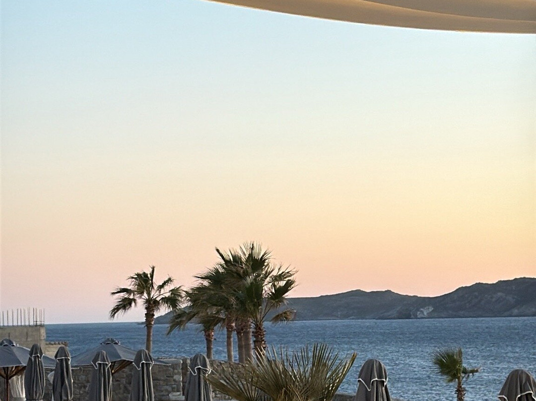 Kyma Restaurant主图