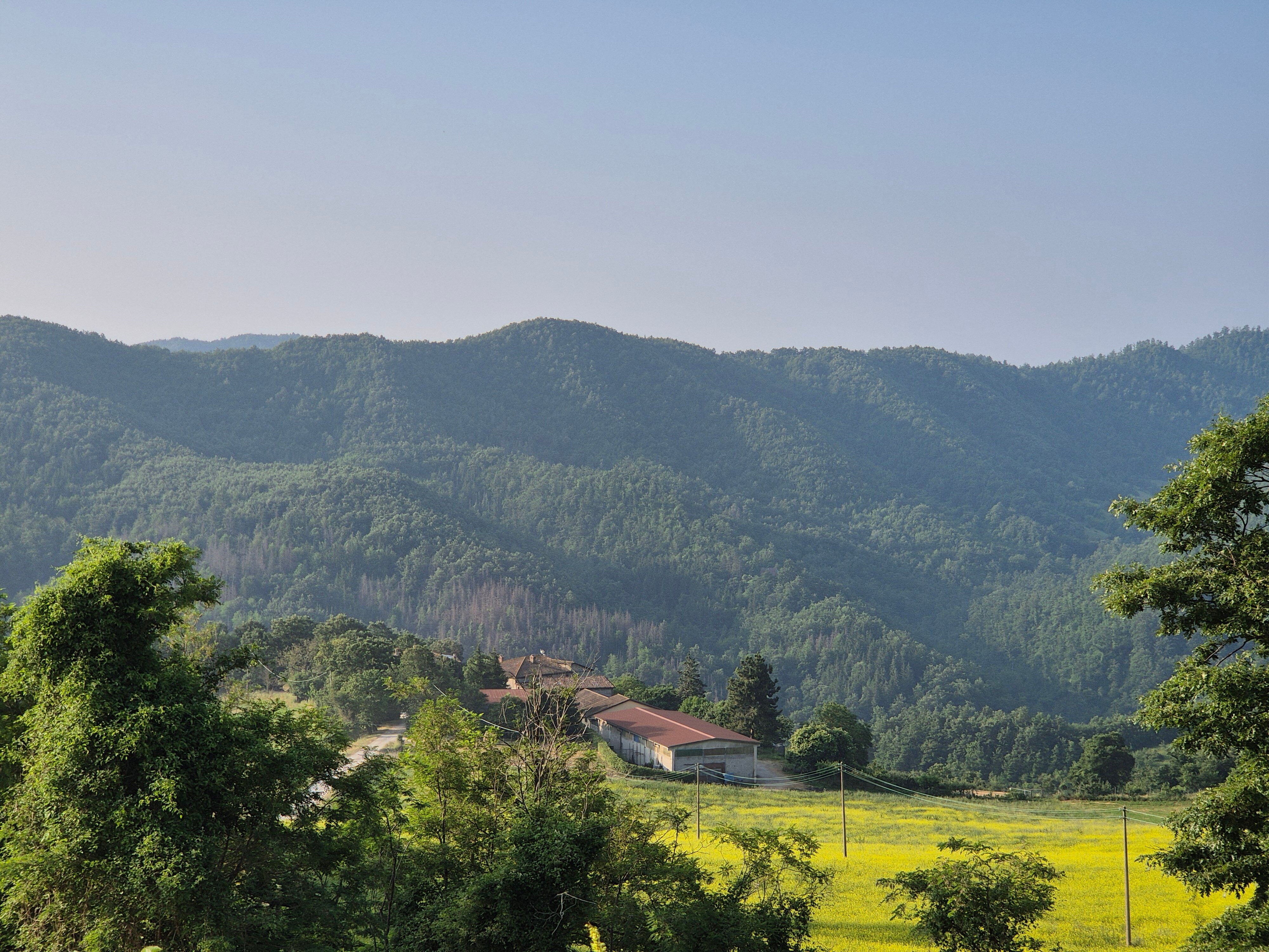 Bio Agriturismo Chignoni-官方