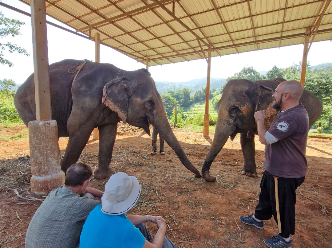 Elephant Special Tours-清迈府必去景点