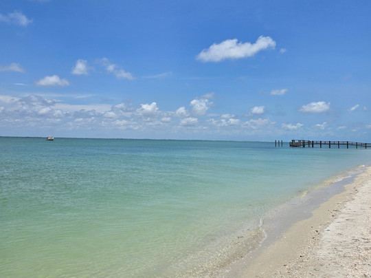 Beach Buddy Tours-迈尔斯堡海滩必去景点