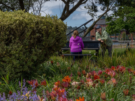 Tour Puerto Varas Photography-巴拉斯港必去景点