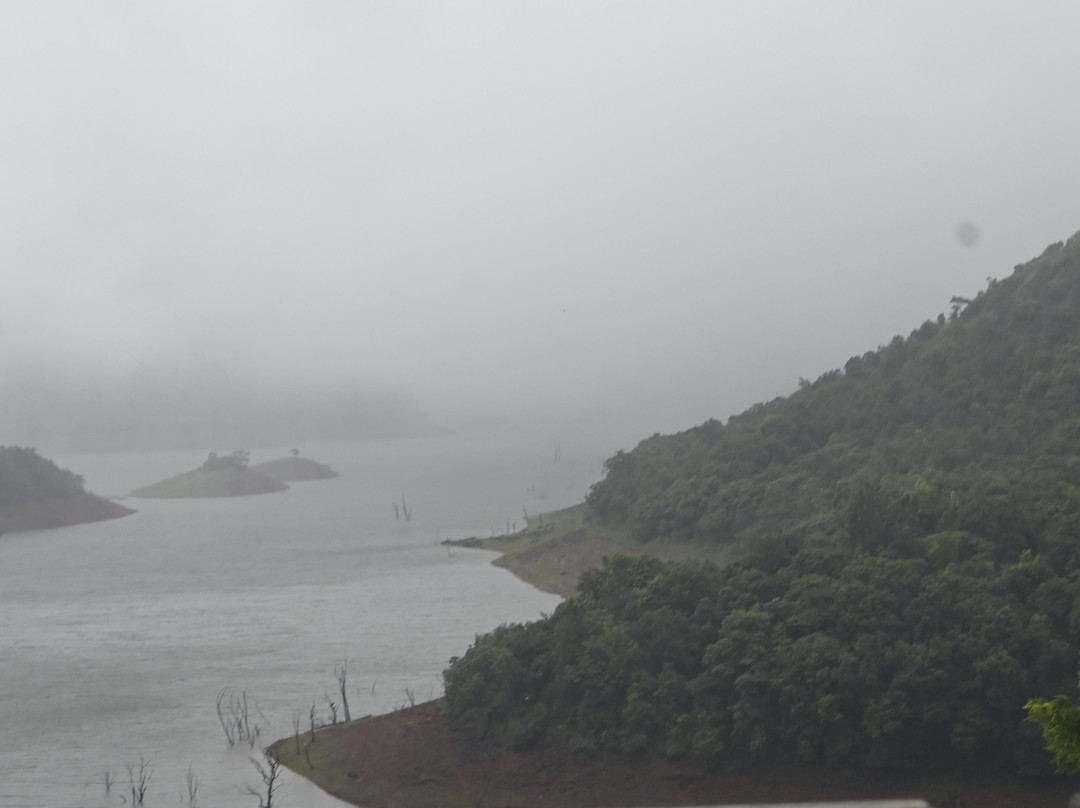 Mountain Shadows Resort, Wayanad主图