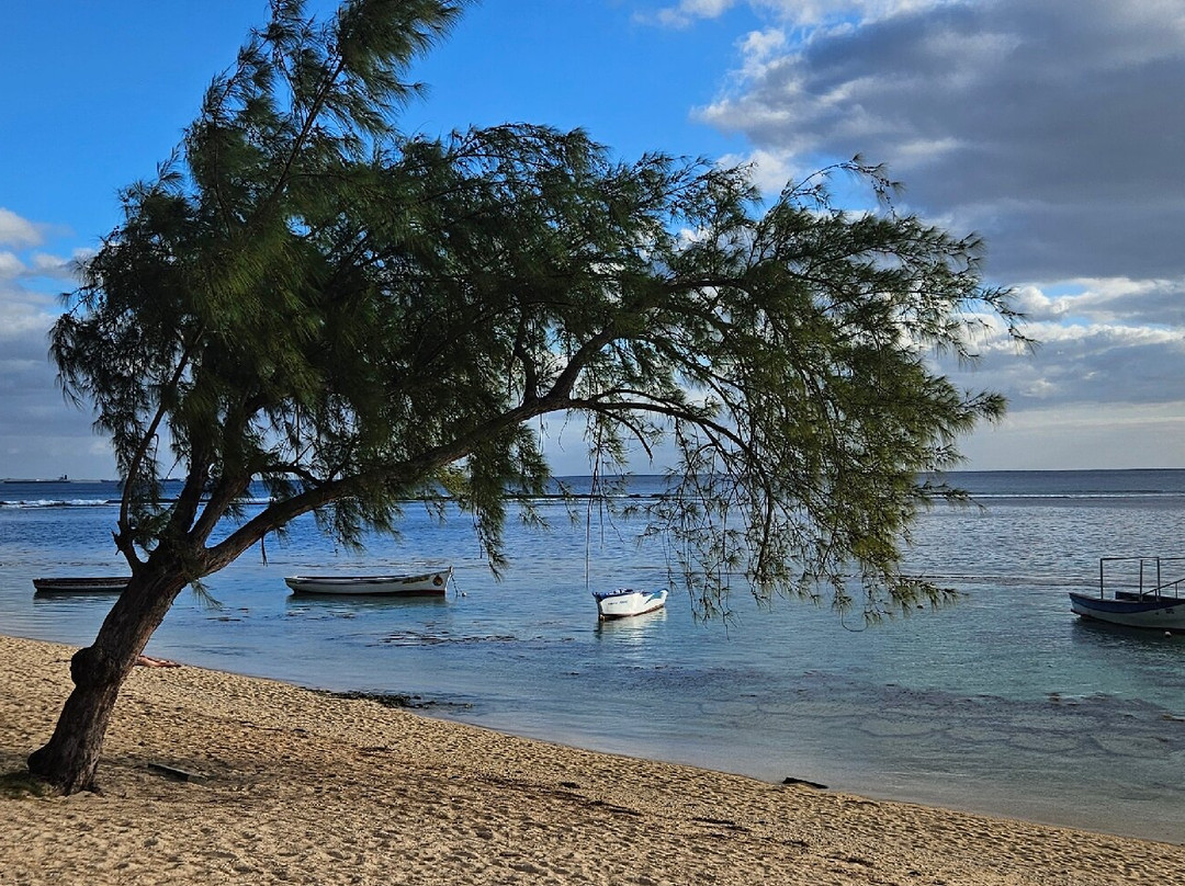 Balaclava Public Beach-巴拉克拉瓦必去景点
