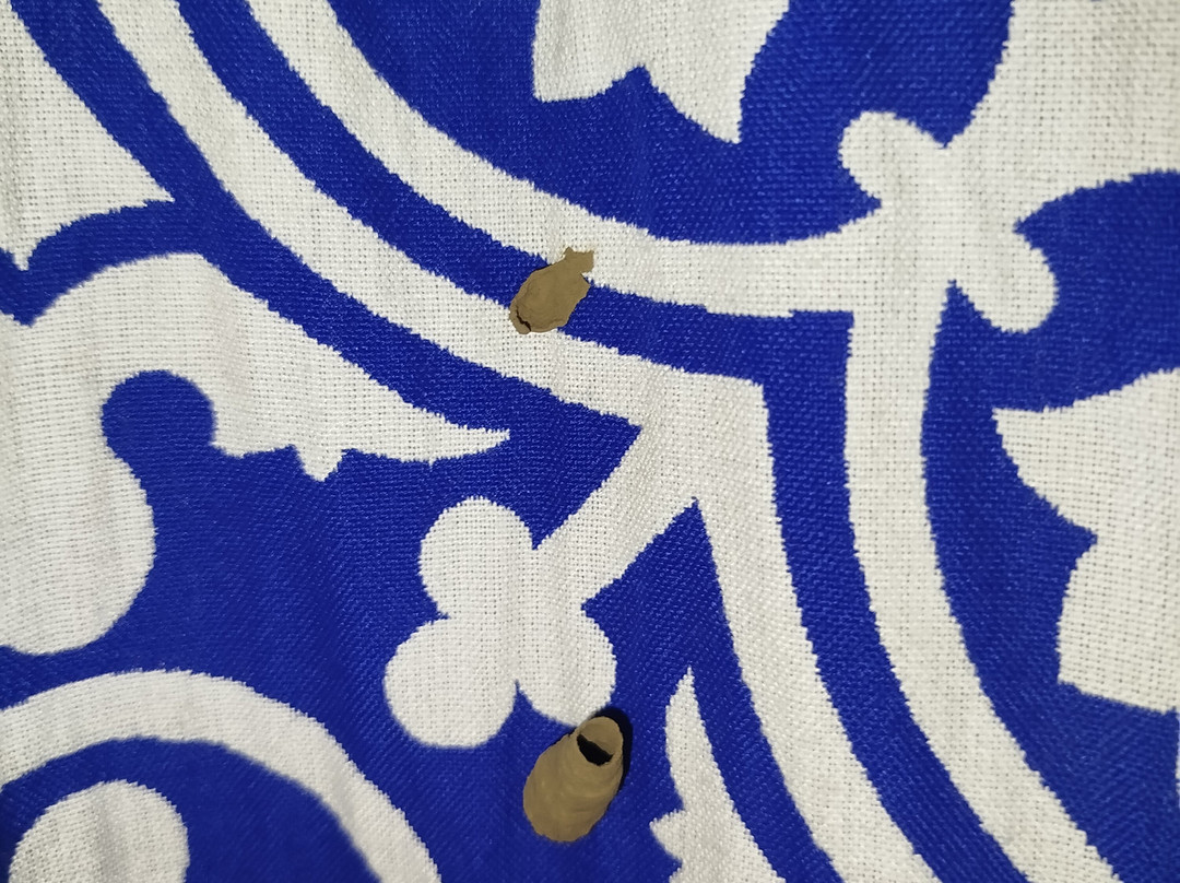 泽里斯酒店主图