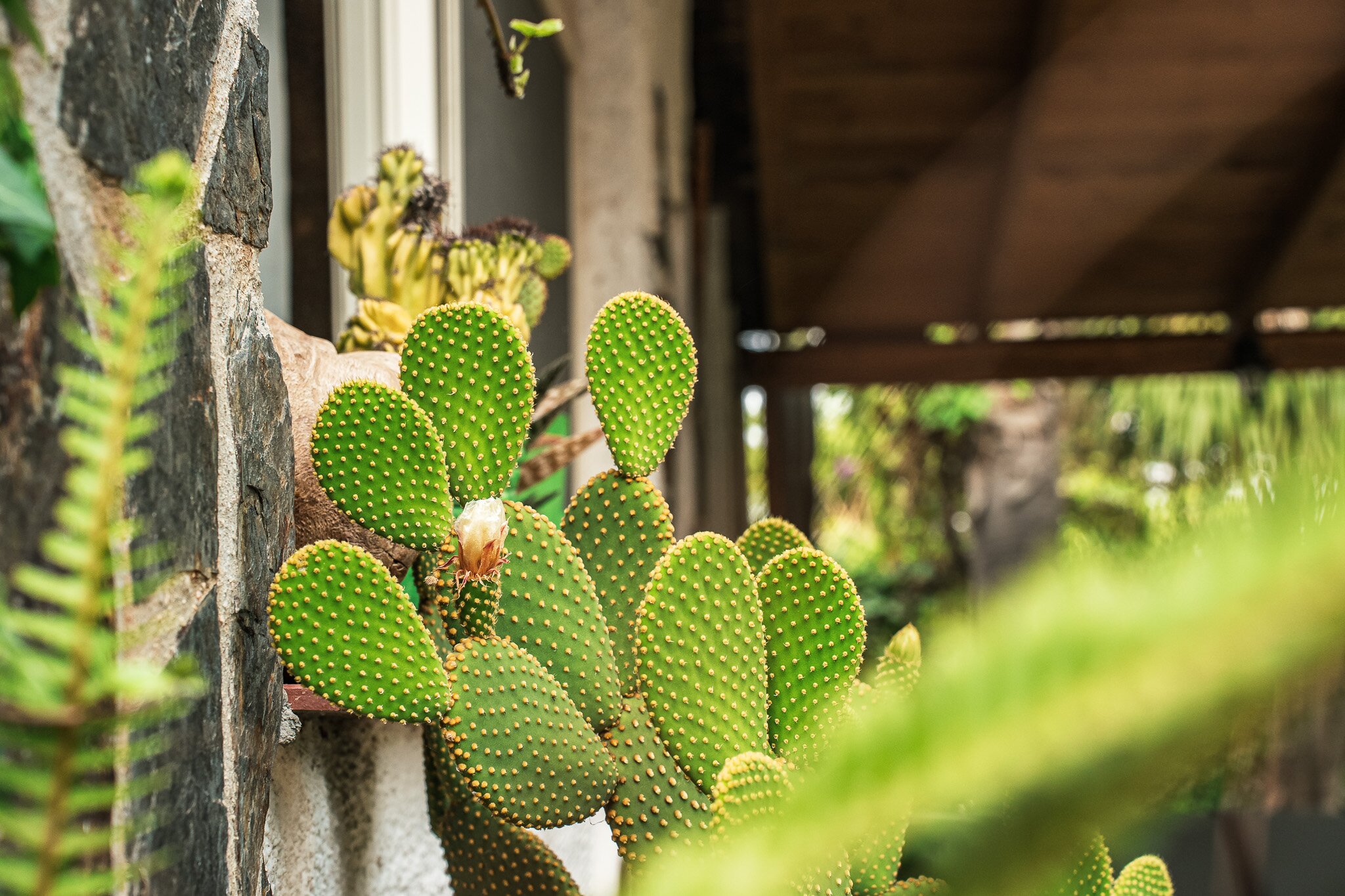 Agriturismo Li Misteri-官方