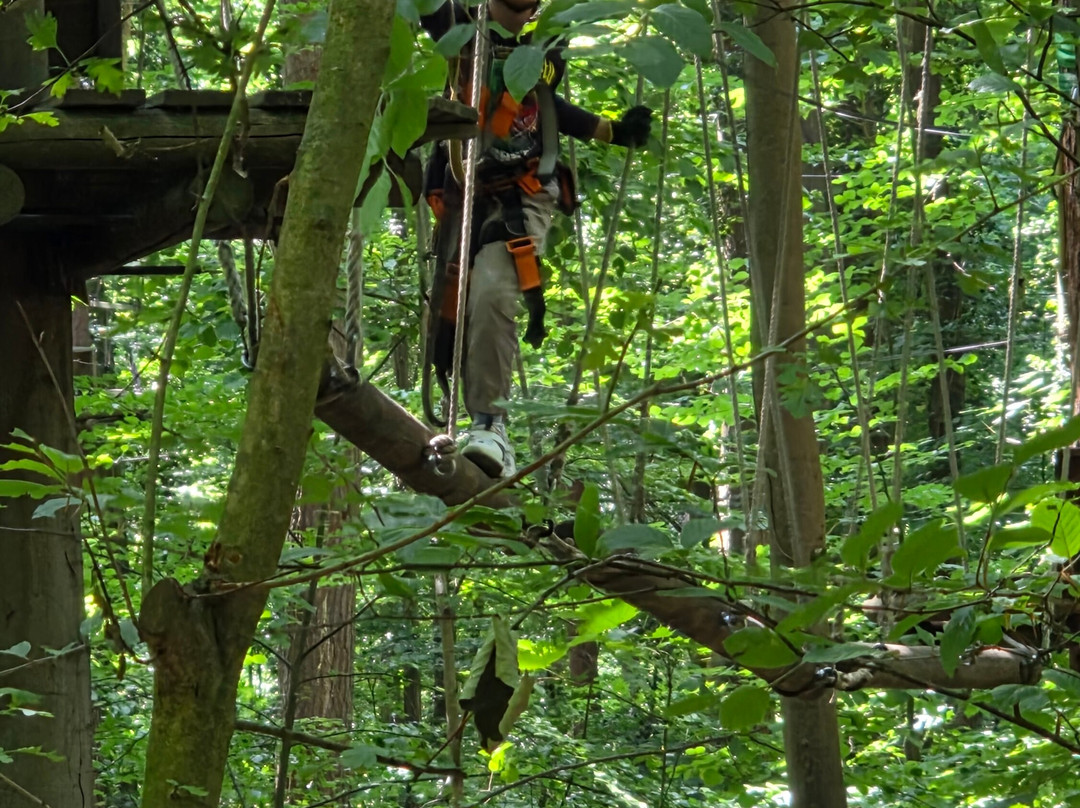 Schwindelfrei der Kletterwald-布吕尔必去景点