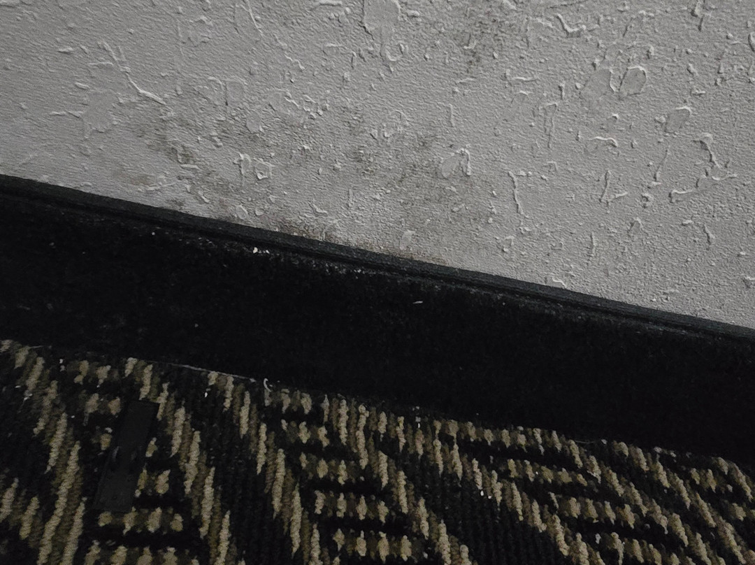 Best Western Braddock Inn主图