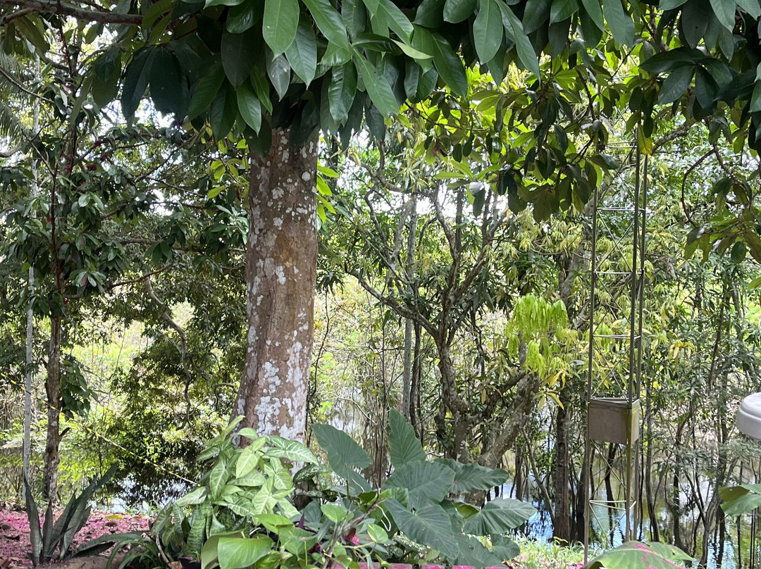 Amazonia Jungle Hotel主图