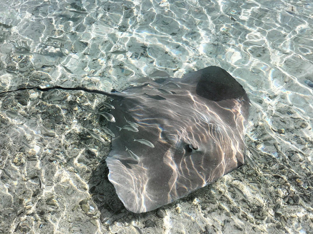 Pension Papahani主图