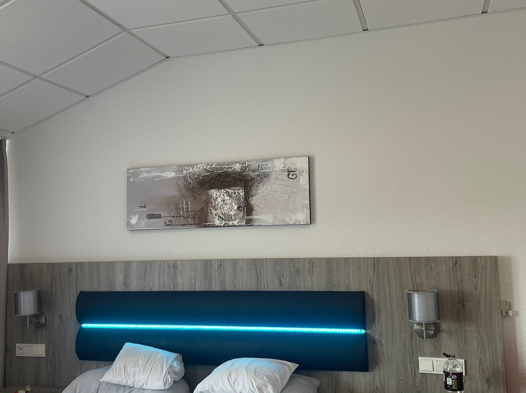 恩格尔霍恩酒店主图