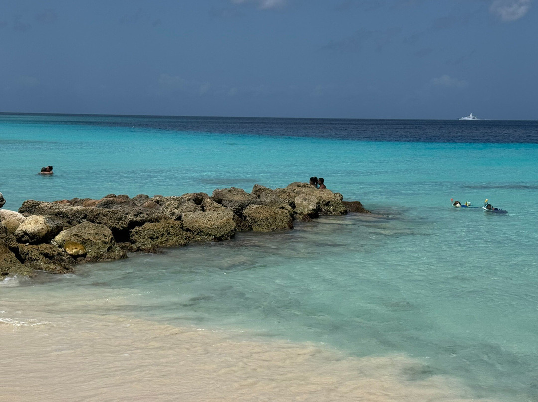 Thuishaven Boutique Mini-Resort主图