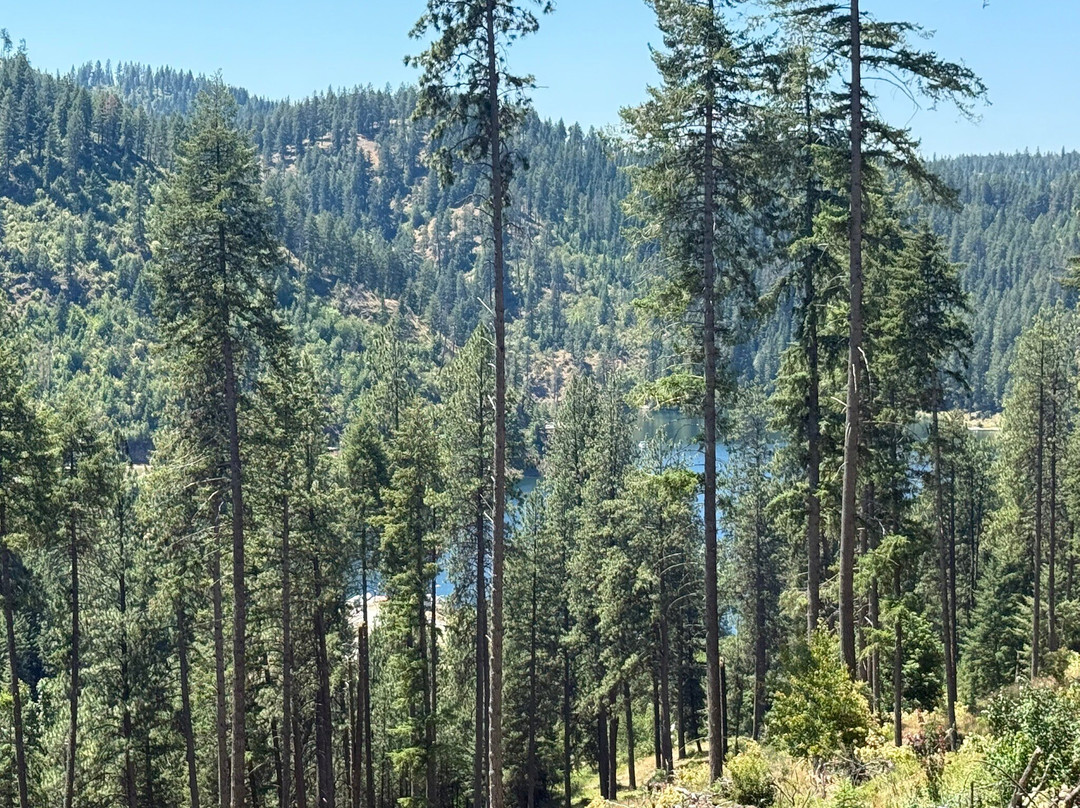 Mineral Ridge National Recreation Trail-科达伦必去景点