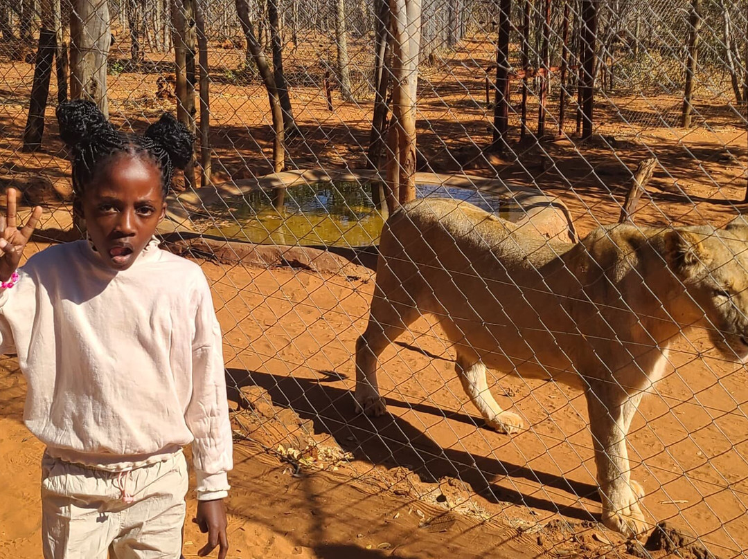 Untamed African Safaris-李文斯顿必去景点