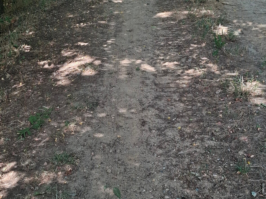 Cascina La Gioia主图