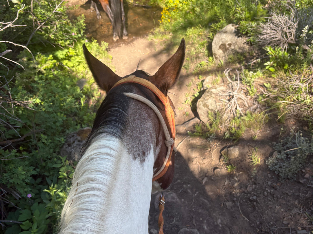 Rand Creek Ranch-Wapiti必去景点