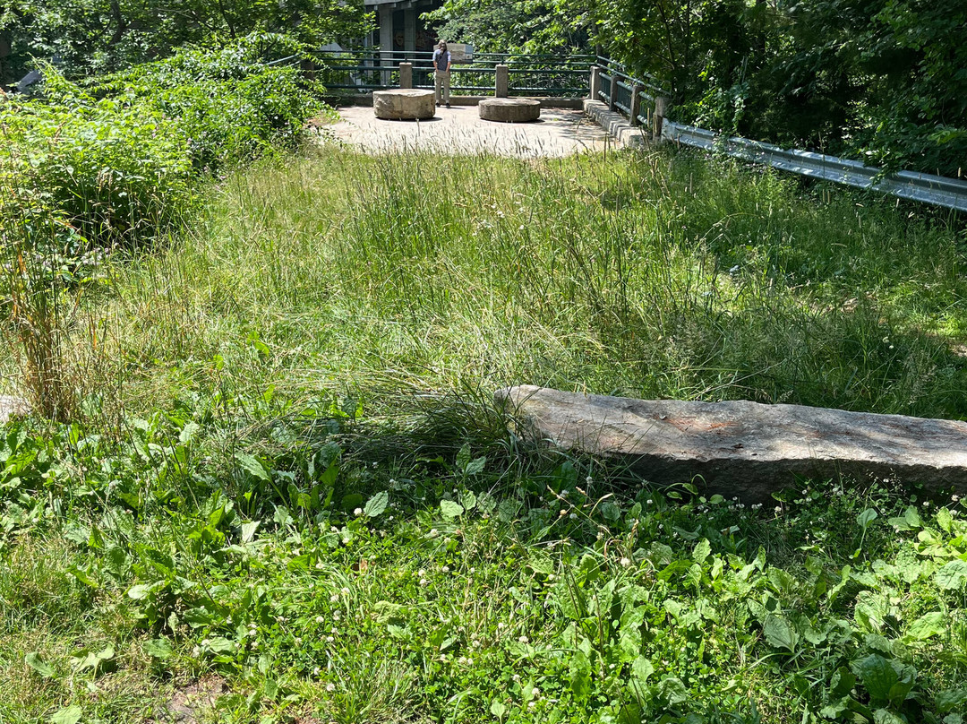 Presumpscot Falls Park-Falmouth必去景点