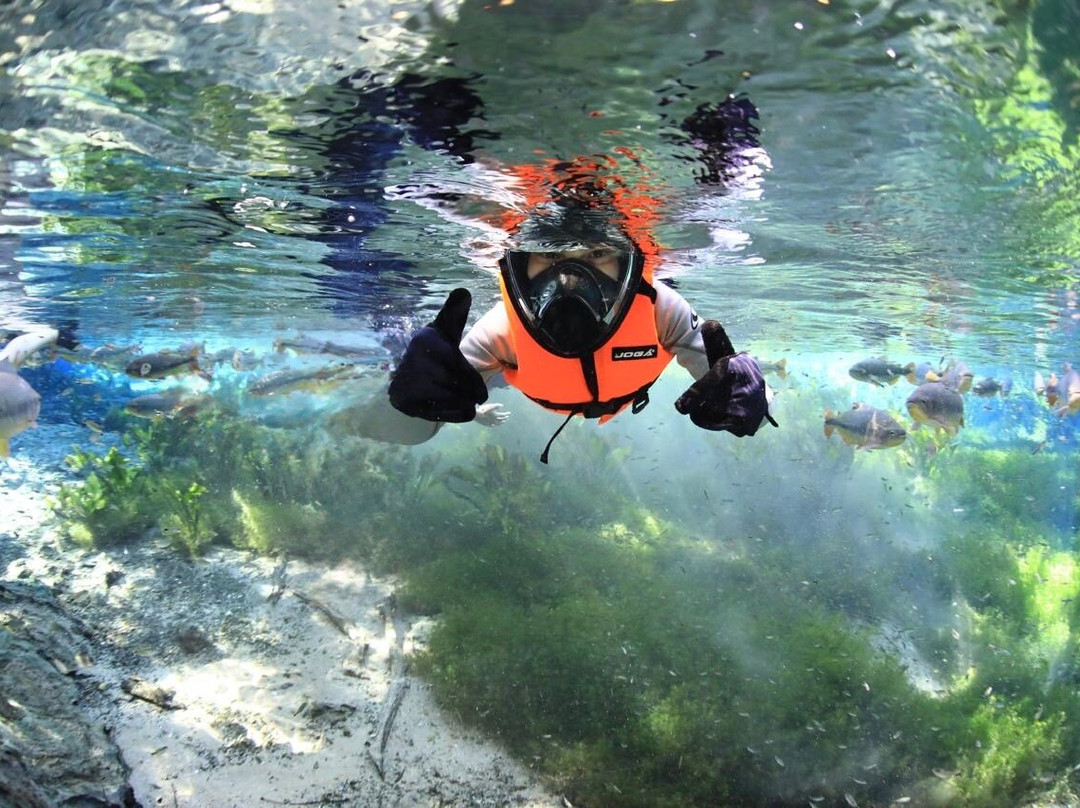 Aquario Natural-博尼图必去景点