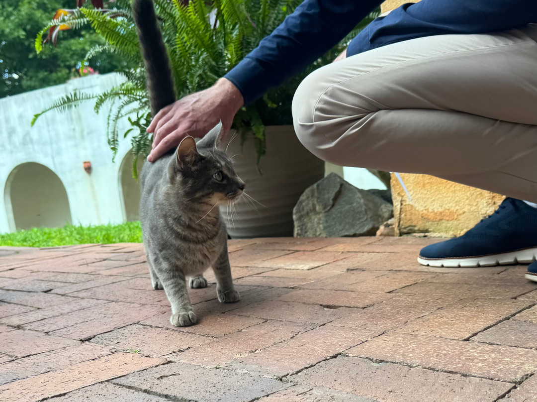 Uhuburg-海伦必去景点