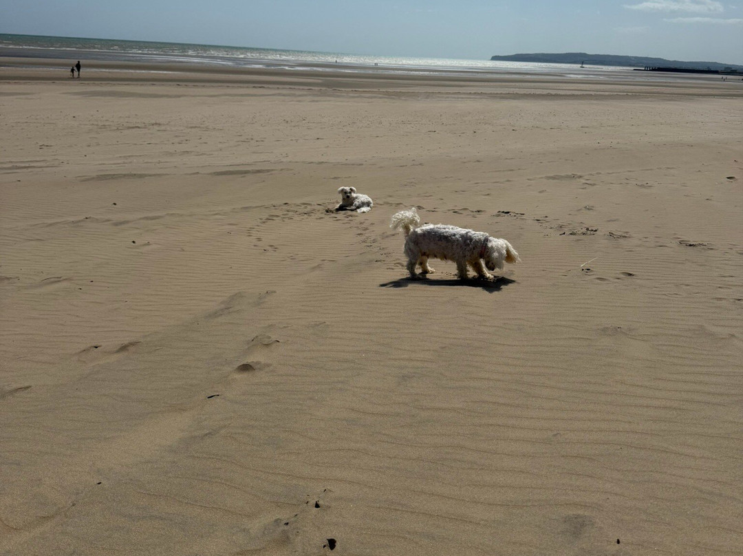 Camber Sands-Camber必去景点