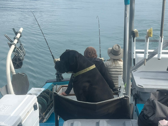 Alaska Saltwater Charters-苏厄德必去景点