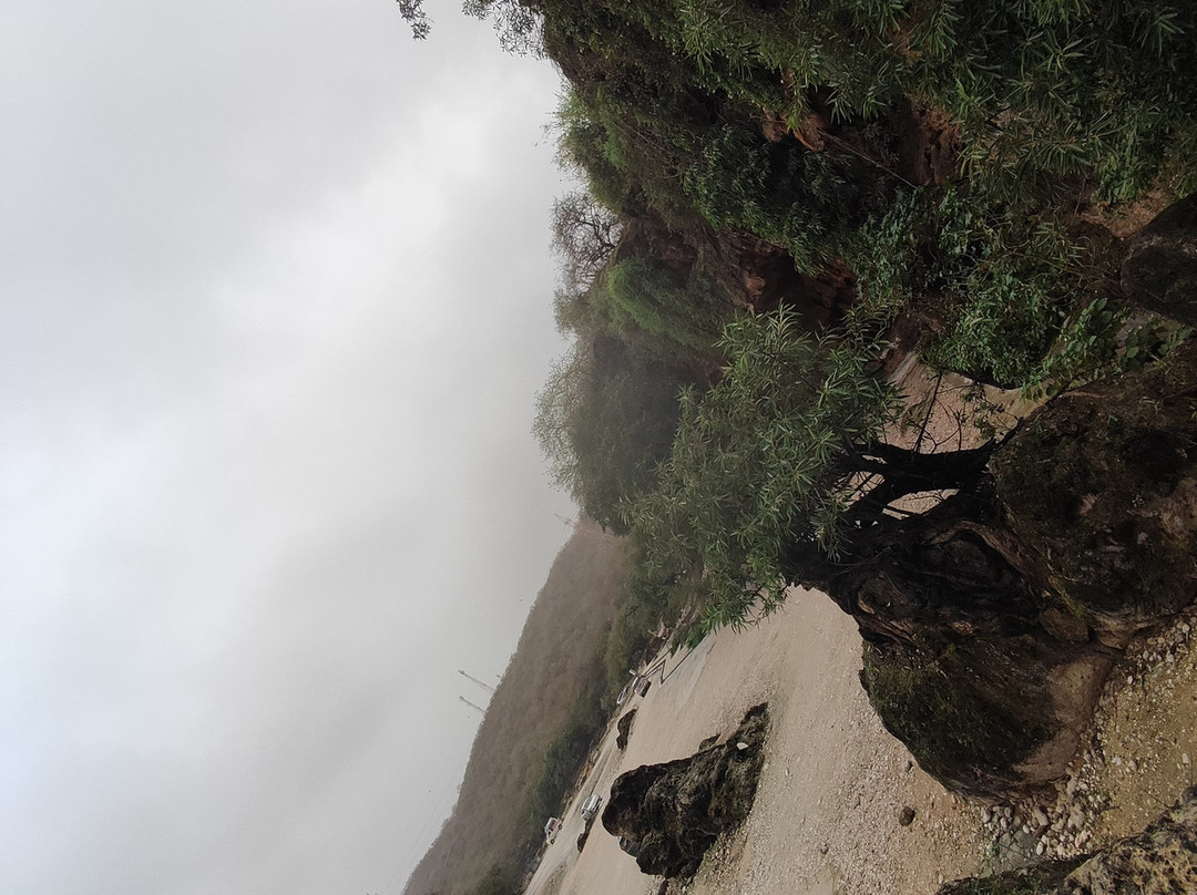 Ain Garziz-塞拉莱必去景点