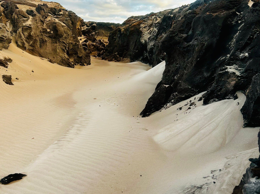 SeaLink K'gari (Fraser Island)-River Heads必去景点