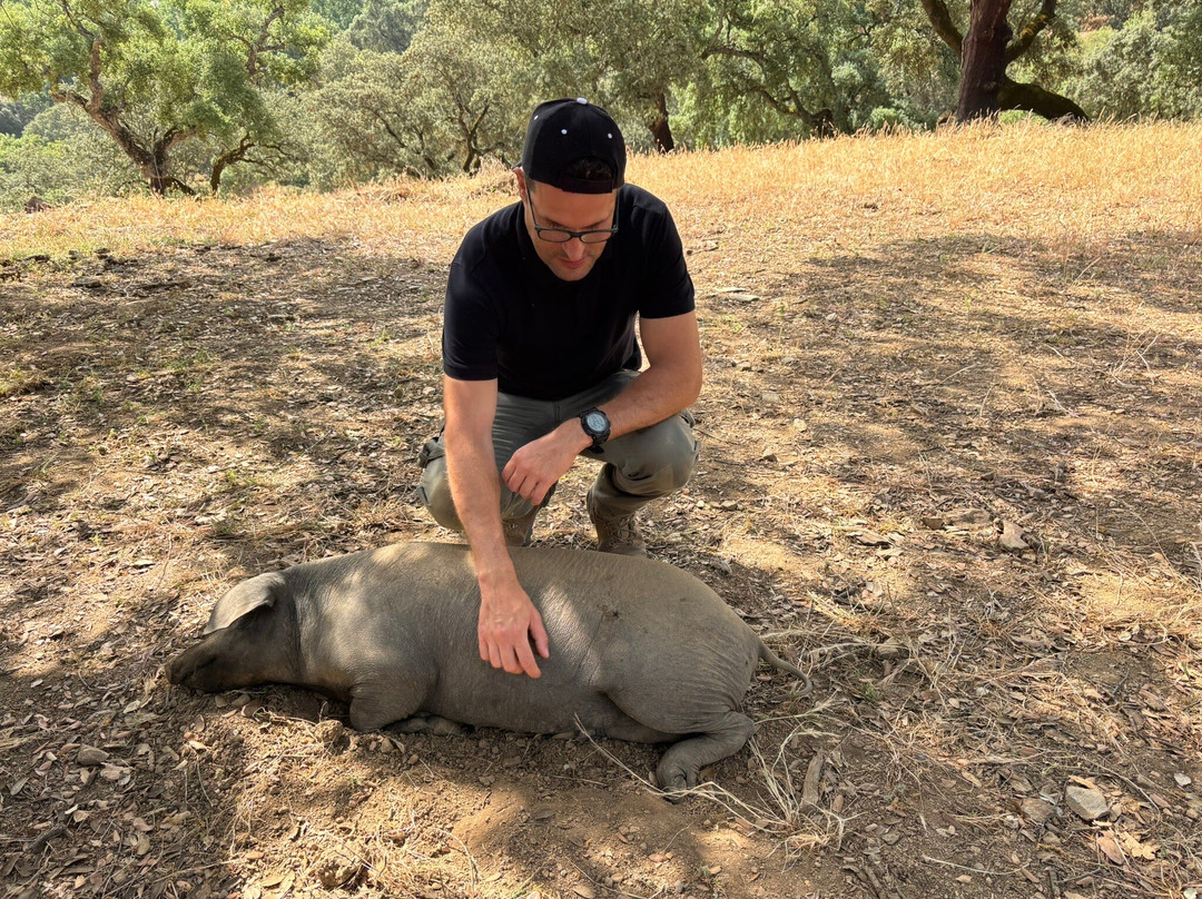 Eiriz Jamones & Embutidos De Bellota-Corteconcepcion必去景点