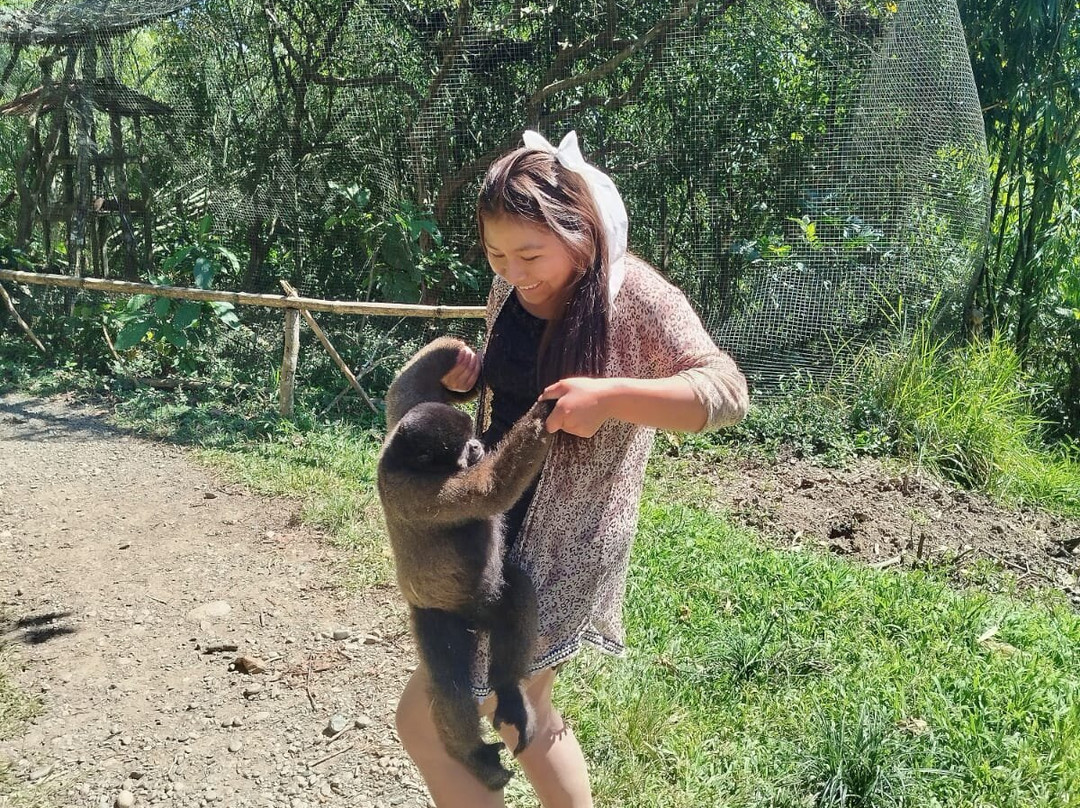 Dos Loritos-Paucartambo必去景点