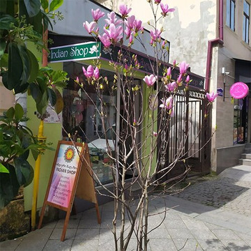 Indian Shop Indolavka-巴统必去景点