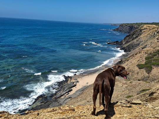 Quinta Pero Vicente主图