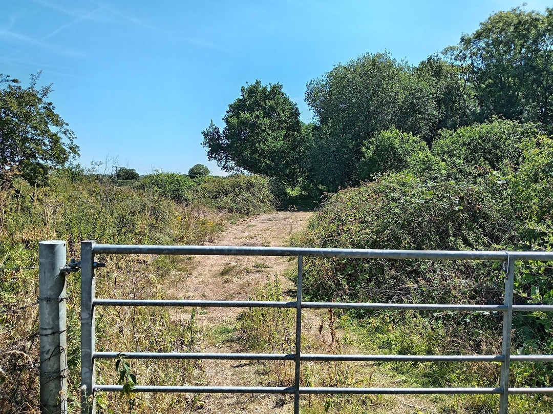 Ellingham Disused Station