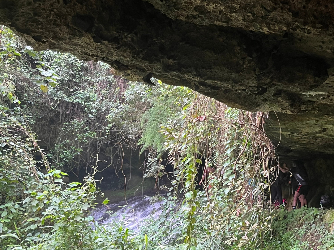 Gatamaiyu Forest-Kikuyu必去景点