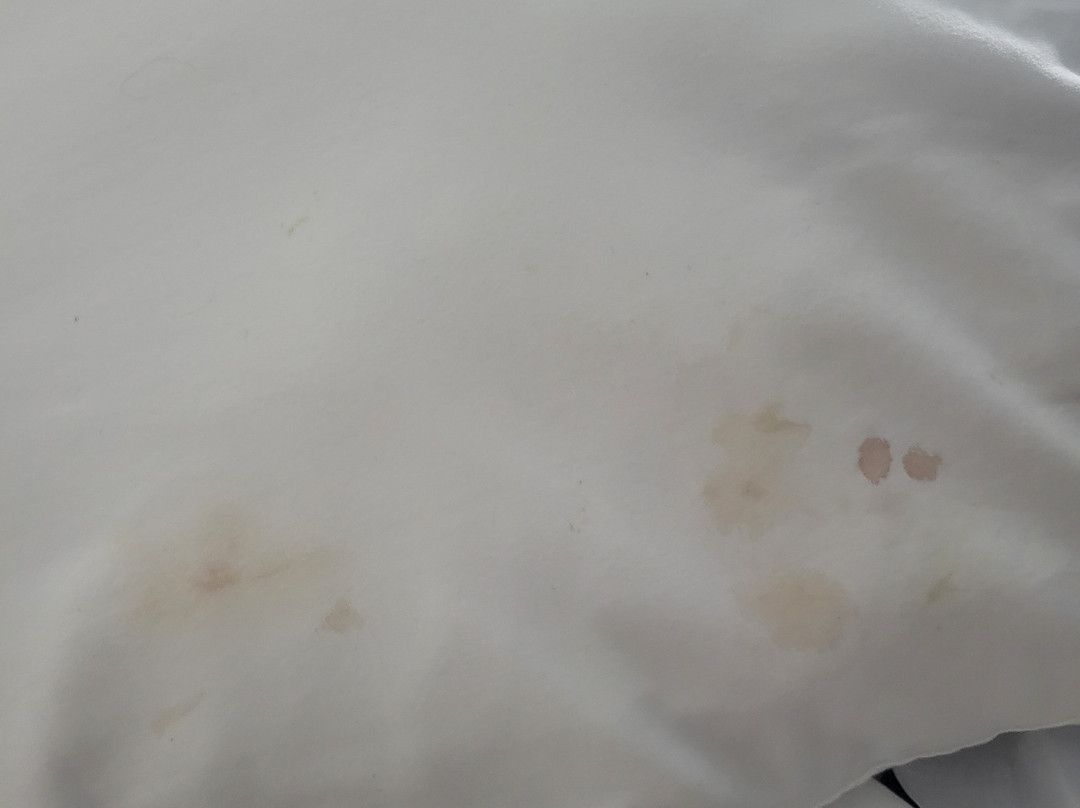 Baymont by Wyndham Dunn主图