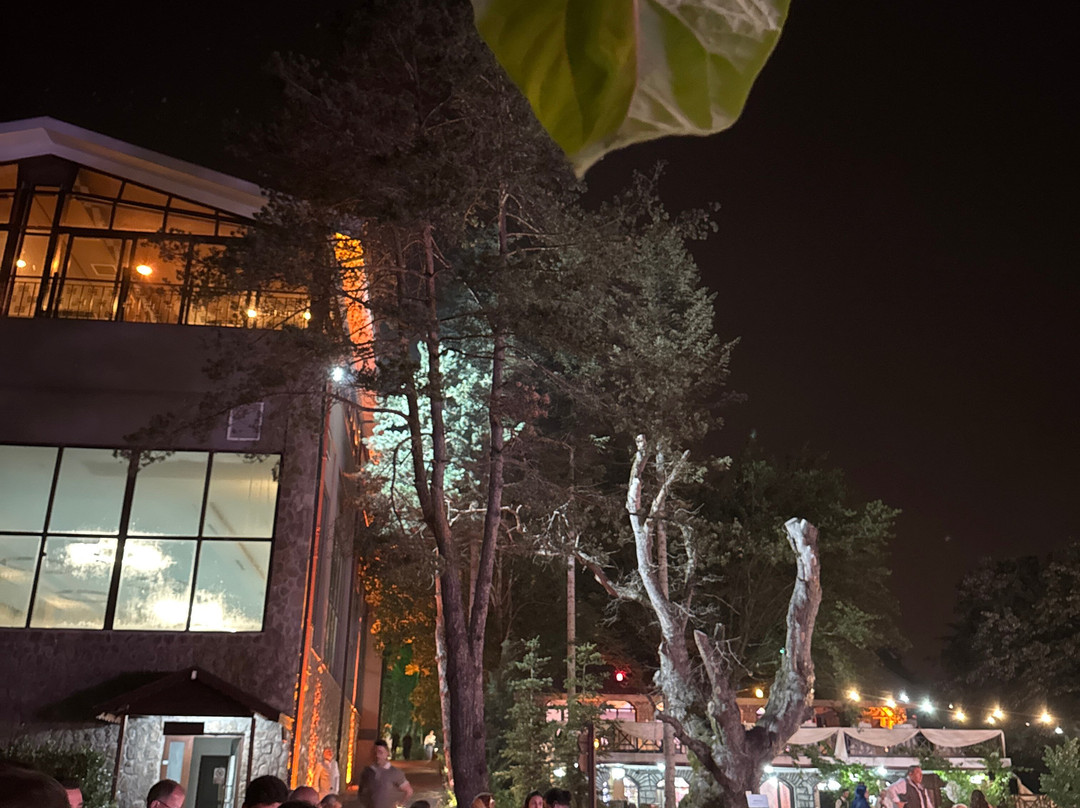 Bolu Koru Hotels Spa & Convention主图