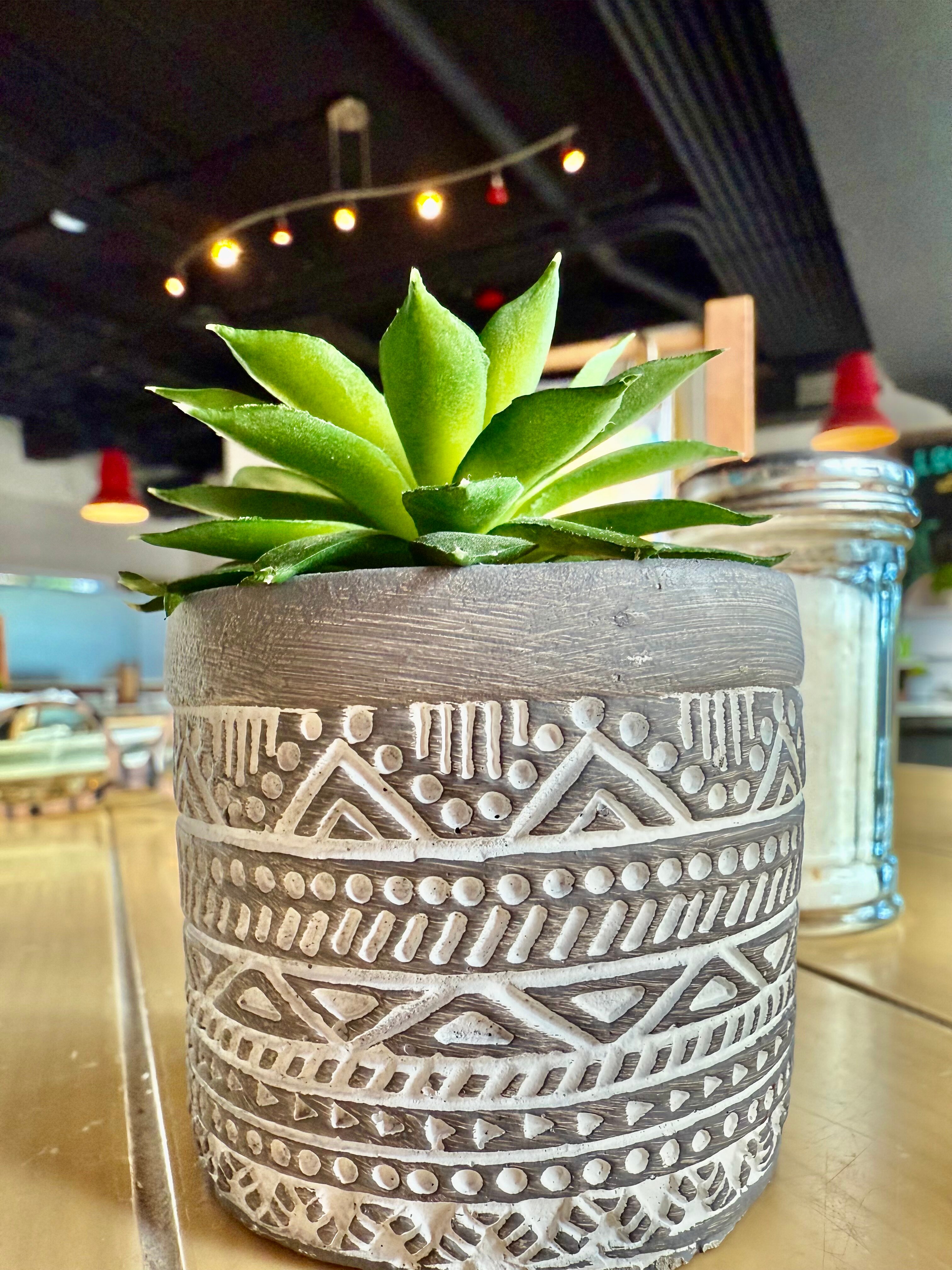 The Locale Hotel Grand Cayman-官方