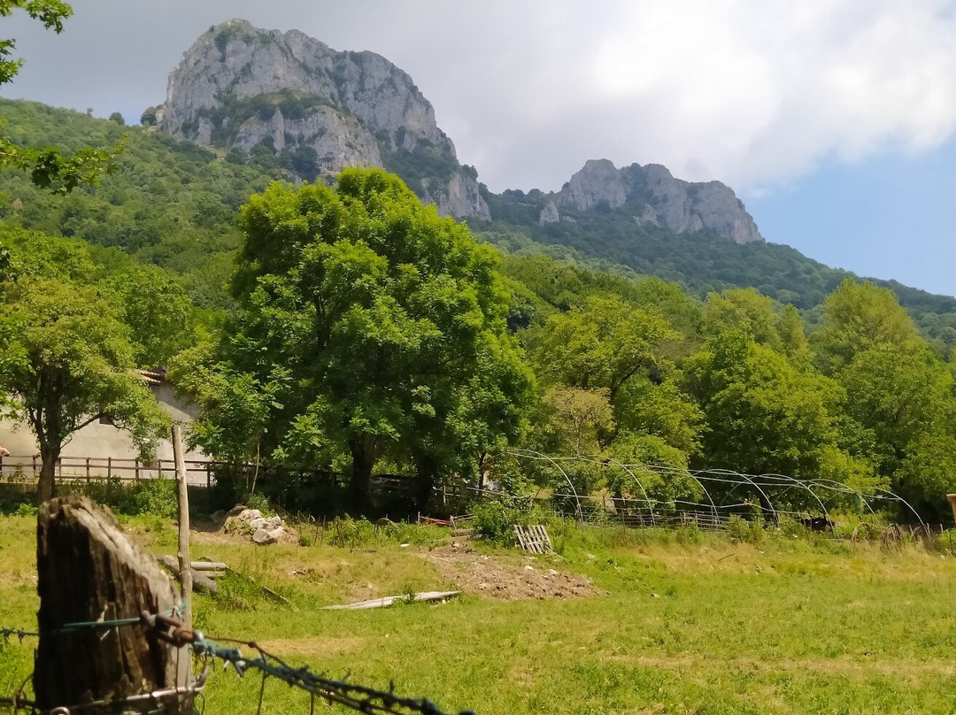 Sentiero Geologico Canzo - Terz'Aple-Canzo必去景点