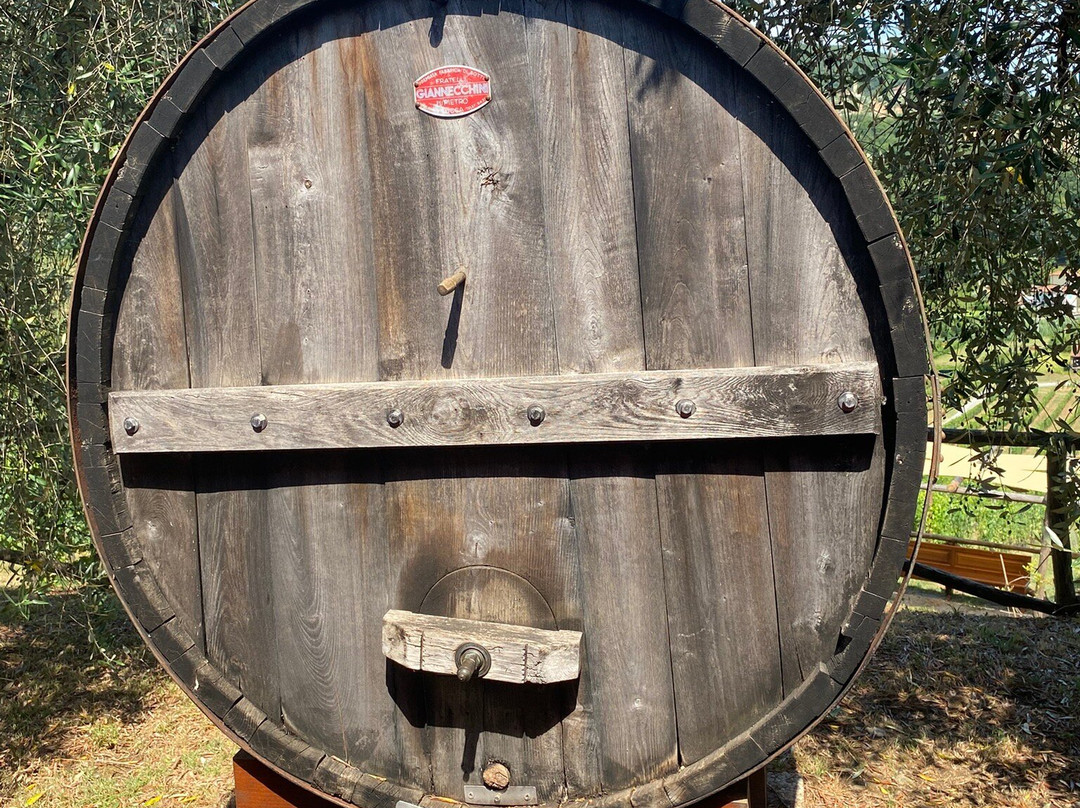 Tenuta Adamo Winery-卢卡必去景点
