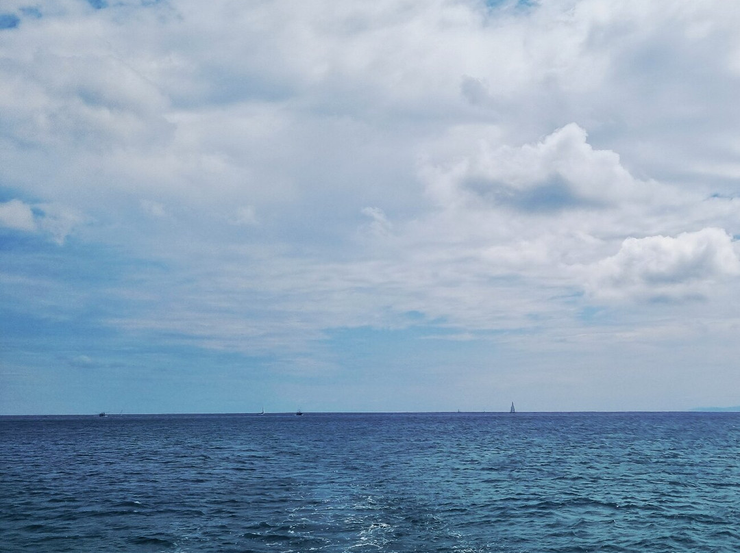 Excursiones Marítimas-Santona必去景点