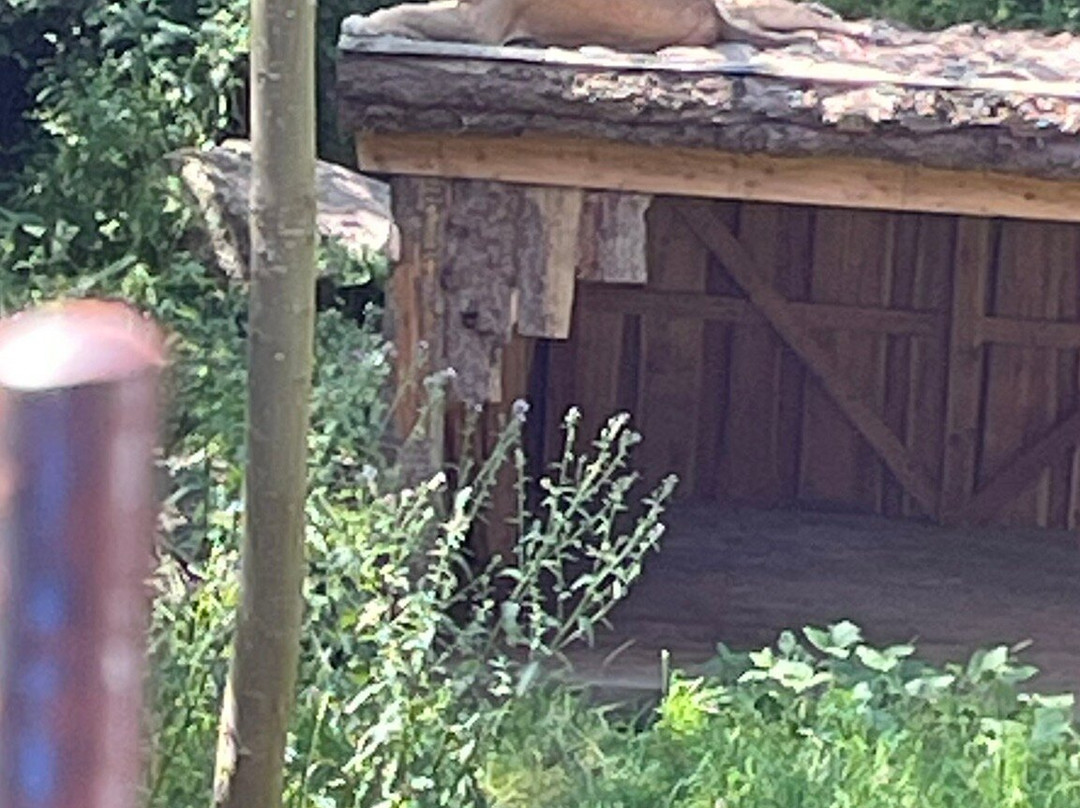 Knuthenborg Safaripark-马里博必去景点
