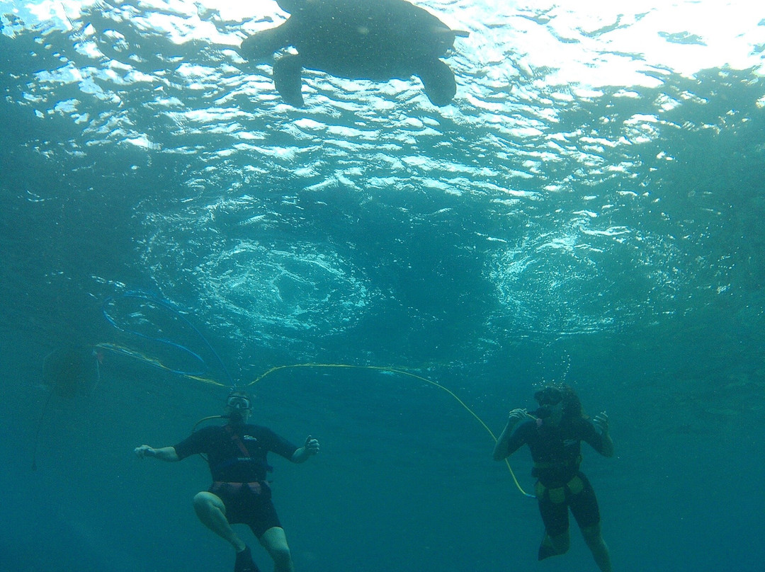 Shoreline Snuba-普卡兰尼必去景点