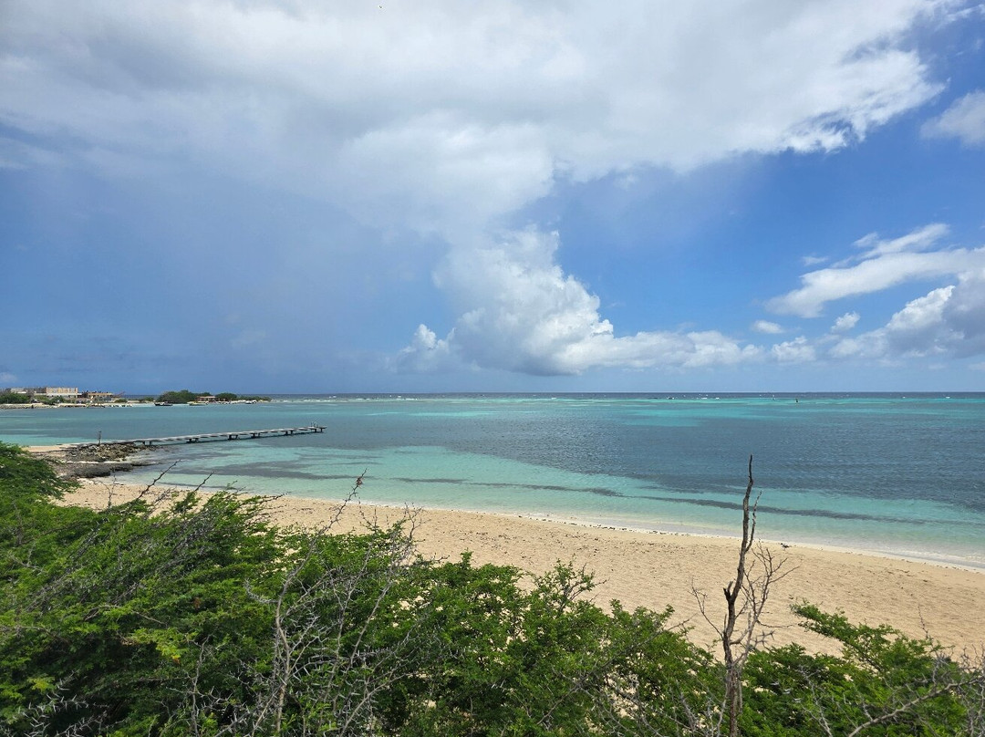 Rodgers Beach-San Nicolas必去景点
