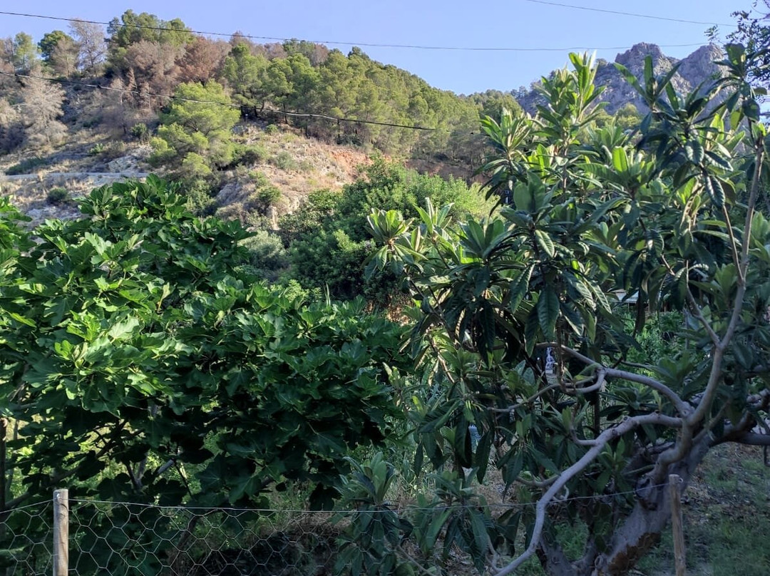 Fonts de l'Algar-Callosa d'En Sarria必去景点