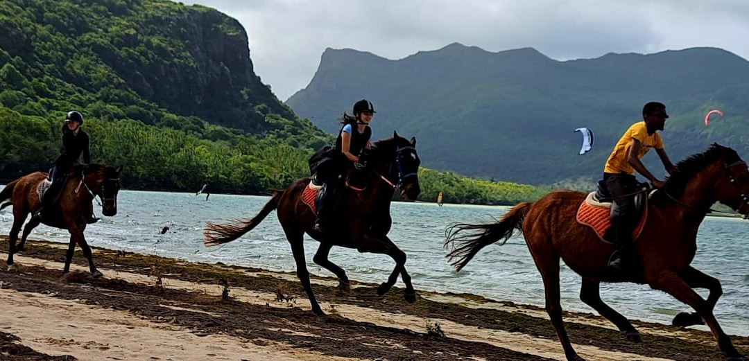 Haras Du Morne-莫纳山必去景点