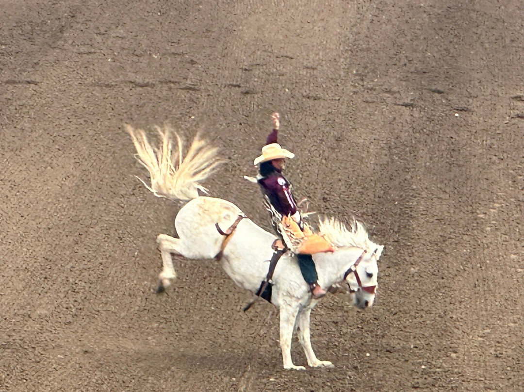 California Rodeo Salinas