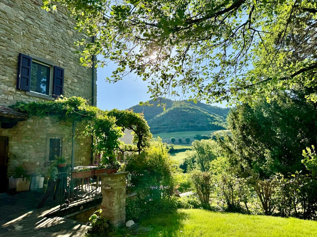 Agriturismo Pedrosola主图