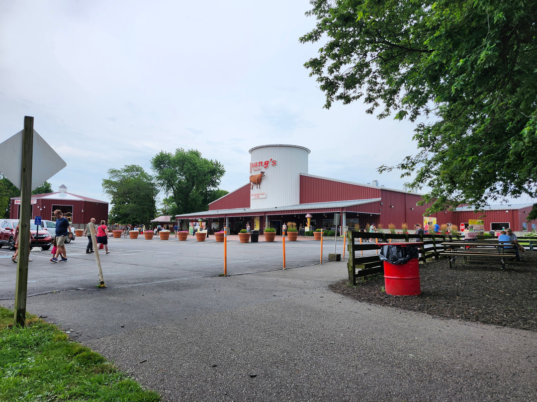 Young's Jersey Dairy Farm-Yellow Springs必去景点
