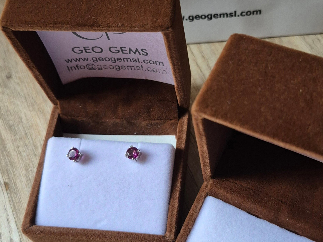 Geo Gems-Fort必去景点