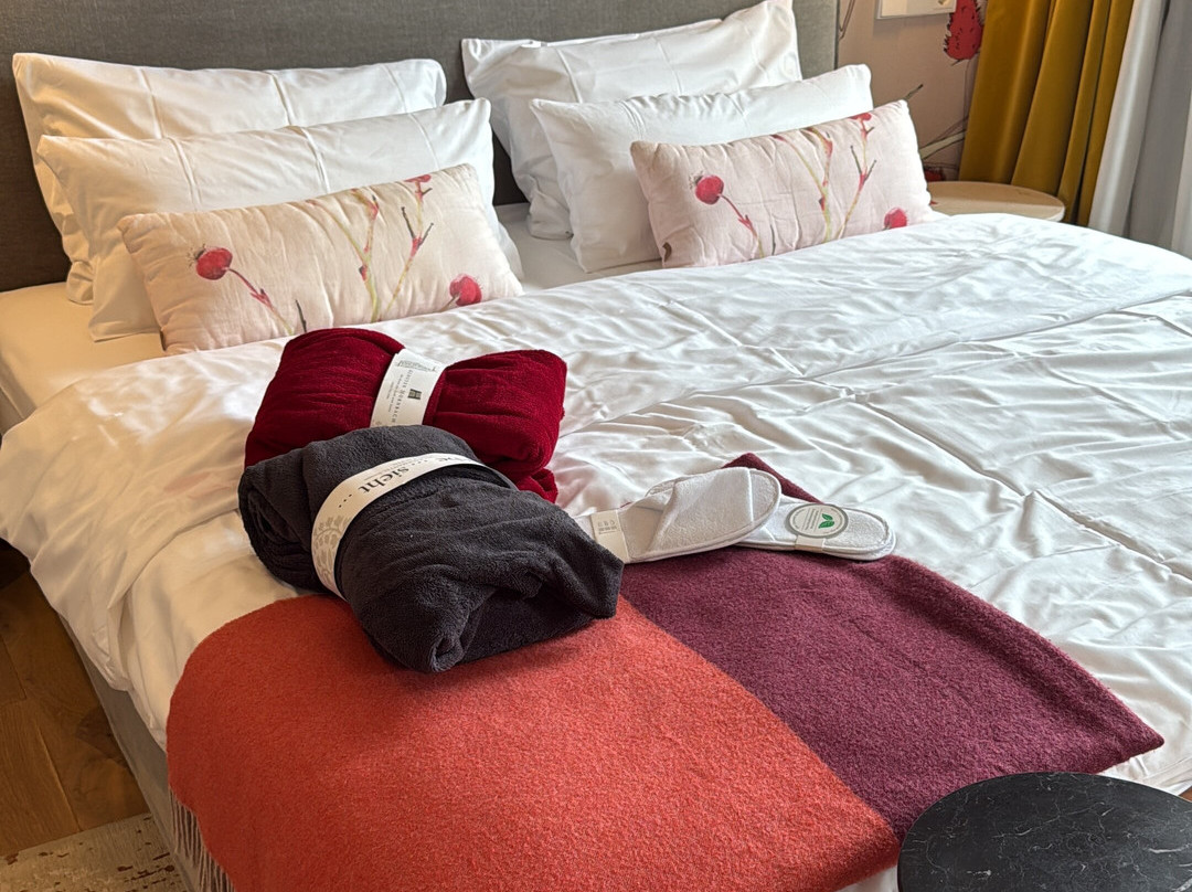 霍恩巴赫克劳斯特酒店主图