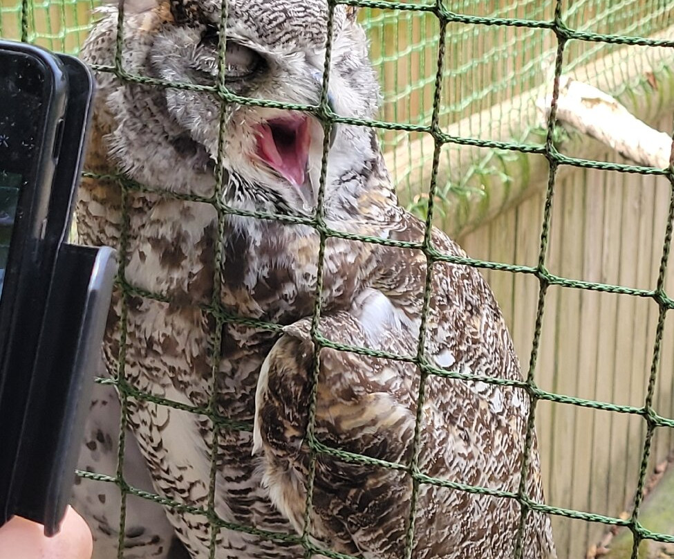 Les Aigles du Léman-Sciez必去景点